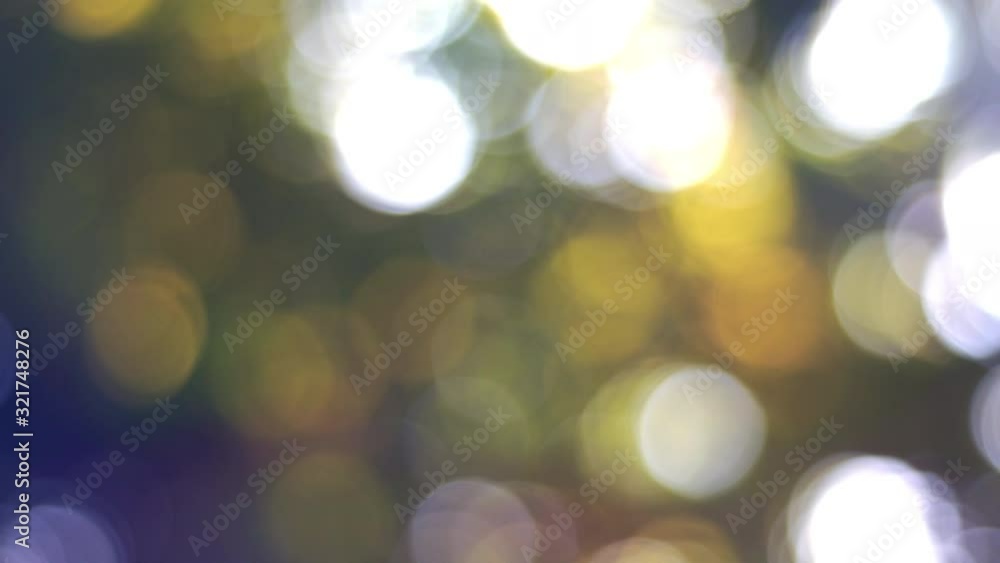 Poster 4K footage bokeh background of tree looking upward with sun flare 