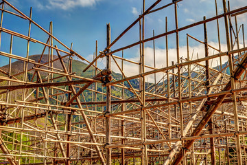 Bamboo scaffolding at a construction site in Hong Kong
