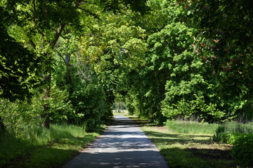Obraz premium path in the park in Bayreuth, Bavaria