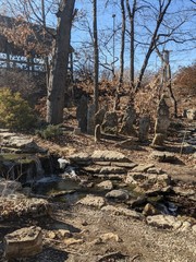 old bridge in the forest