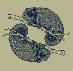 The chameleon hand drawn illustration on light green background  © saranya