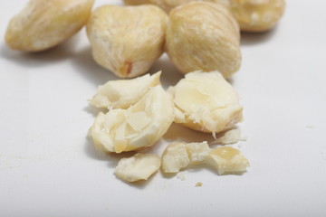 candlenut also known as kemiri at Indonesia, one of herbs that usually used for asian food as seasoning