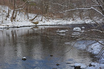 ice on the river