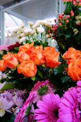 beautiful flowers in a flower shop