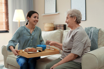 Young woman serving dinner for elderly woman in living room. Senior people care