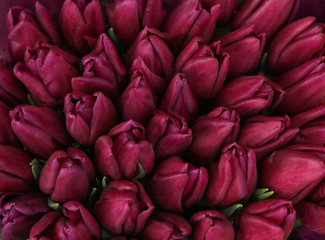 Beautiful bouquets of tulip flowers, top view. Floral decor
