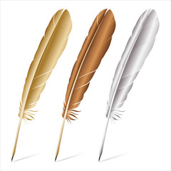 Realistic image of multicolored feathers on a white background