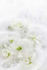 白い花と柔らかな羽　結婚式のイメージ