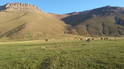 Obraz premium landscape in the mountains