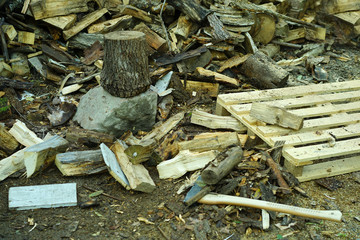 Axe, log, firetrees and palet.
