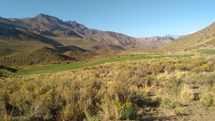 Obraz premium landscape in the mountains