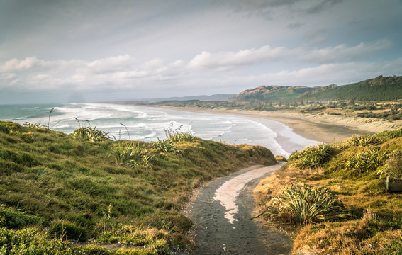View looking North to Murawai Beach With Winding Path in the Foreground, in Auckland New Zealand