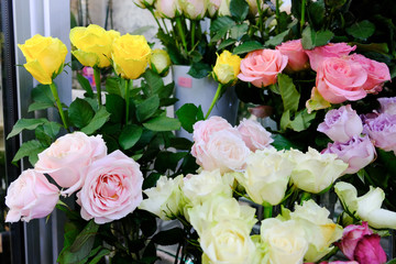 Fresh colorful roses in a flower shop
