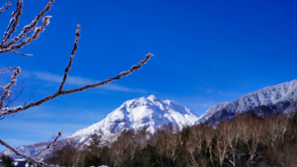 樹氷,北アルプス, 上高地, 雪, 青, 山