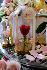 table setting in a flower shop and red rose under glass bell