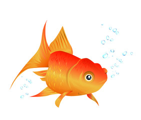 Stock Illustration: goldfish, multicolored, swim happily