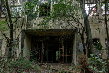Fototapeta na wymiar Abandoned building covered by moss