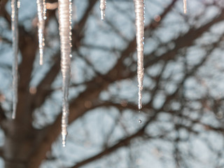 A drop of water falling from the icicles.