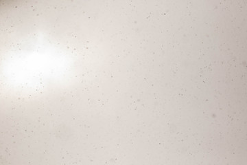 冬空から降ってくる雪