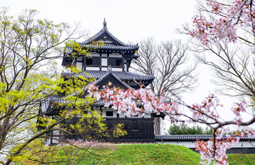 Fototapeta premium Takada Castle with Sakura Tree in Spring at Takada Castle Ruins Park, Joetsu, Niigata, Japan