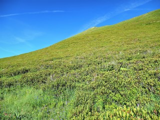 ツール･ド･モンブラン