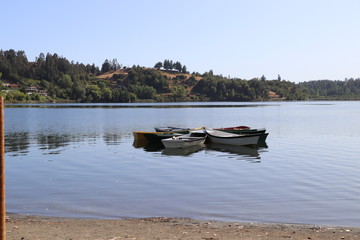Botes coloridos en laguna