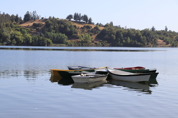 Fototapeta na wymiar Lago y botes de colores en día soleado