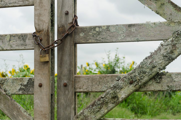 Chain and padlock closing a gate, behind it a field of sunflowers and a cloudy sky