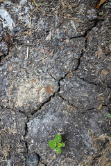 Soil or ground with several cracks due to drought or dryness caused by heat or global warming or...