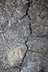 Soil or ground with several cracks due to drought or dryness caused by heat or global warming or climate change effecting the agriculture and farm