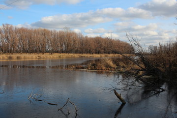 autumn landscape on the shore of a reservoir lake on the Bay a picturesque natural view for fishing