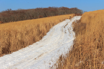 A winter road covered with snow, running along a dagonal among a field overgrown with last year’s dry grass, against a blue cloudless sky.
