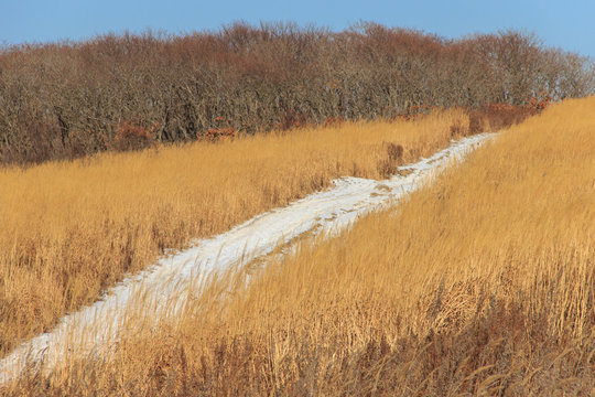 A winter road covered with snow, running along a dagonal among a field overgrown with last year&rsquo;s dry grass, against a blue cloudless sky.