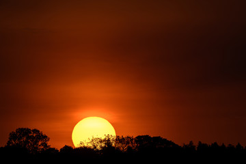 sun falling down behind the forest at sunset