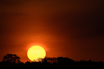 sun falling down behind the forest at sunset