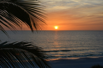 Sunset over the Gulf of Mexico as seen from tropical Florida - obrazy, fototapety, plakaty