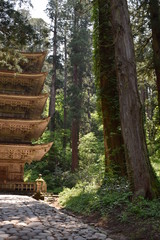 羽黒山の杉並木 ／...
