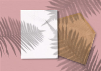 Envelope with a sheet of paper on a pink background. Layout with overlay of plant shadows . Natural light casts a shadow from above.