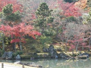 Naklejka premium Autumnal colors by lake in Kyoto temple garden
