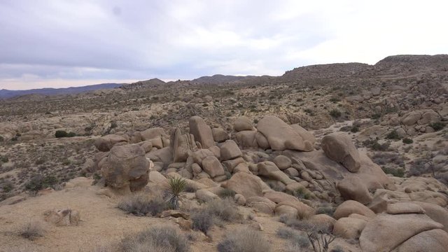 Joshua Tree Rock Scenery