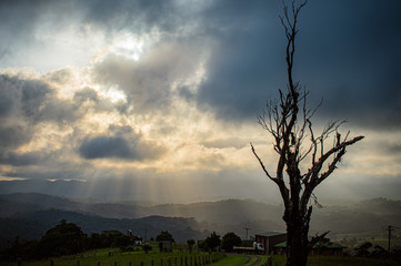 View of Landscape 