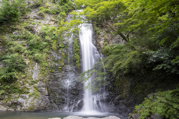 Minoh falls in Osaka, Japan in early summer