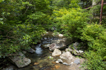 Naklejka na ściany i meble Hiking trail along Minoh river for Minoh falls