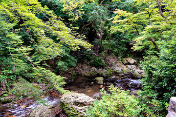 Fototapeta premium Hiking trail along Minoh river for Minoh falls