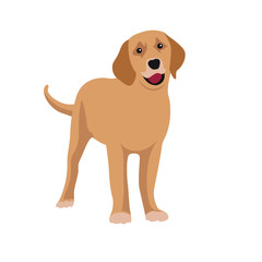 Dogs isolated Vector on white background