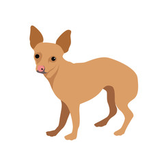 Dogs isolated Vector on white background