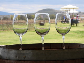 three glasses, landscape, vinicola, wine, vineyard, wine tasting, barrel, barrel, mountain, glasses in the vineyard