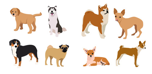 Dogs collection. Set of dogs. Vector illustration of funny cartoon. Isolated on white