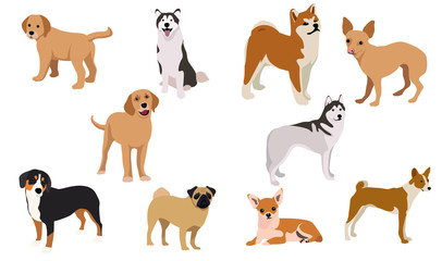 Dogs collection. Set of dogs. Vector illustration of funny cartoon.