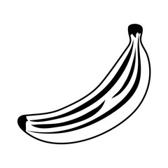 fresh banana fruit isolated icon